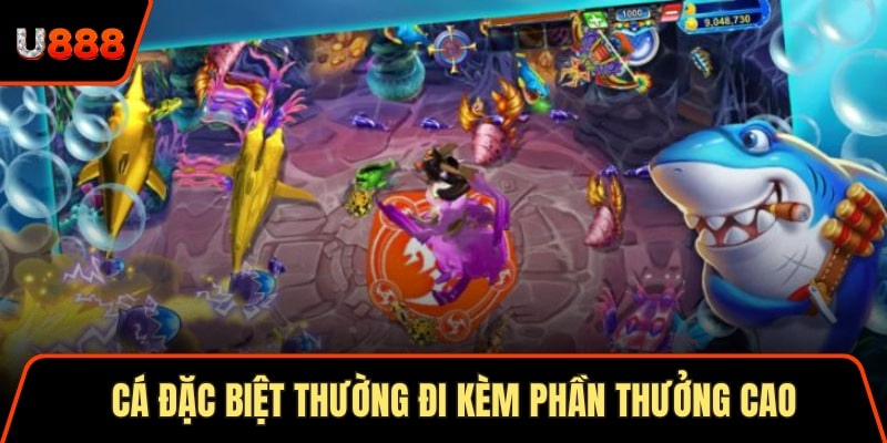  Cá đặc biệt thường đi kèm phần thưởng cao